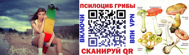 Псилоцибиновые грибы ЛСД  купить наркотики сайты  Шимановск 